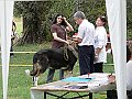img 045